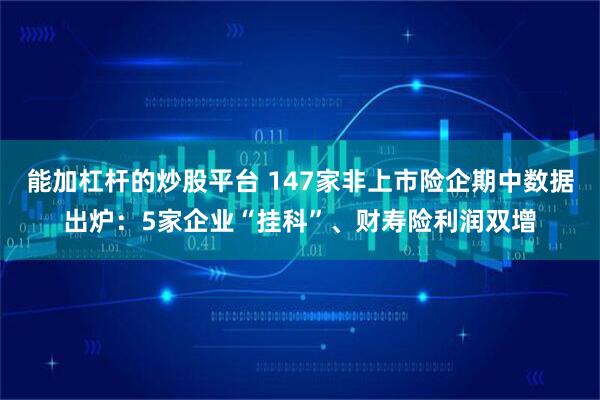 能加杠杆的炒股平台 147家非上市险企期中数据出炉：5家企业“挂科”、财寿险利润双增